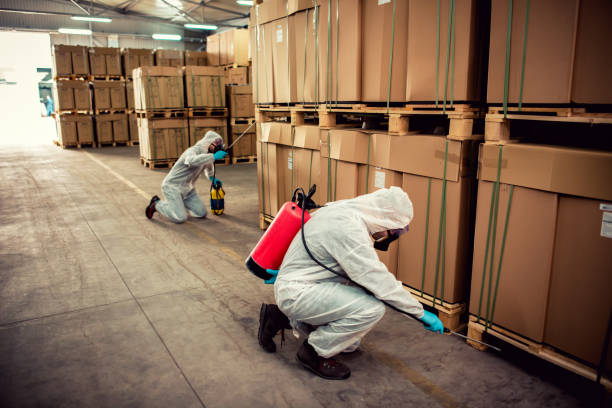 Best Pest Prevention Services  in Garland, UT