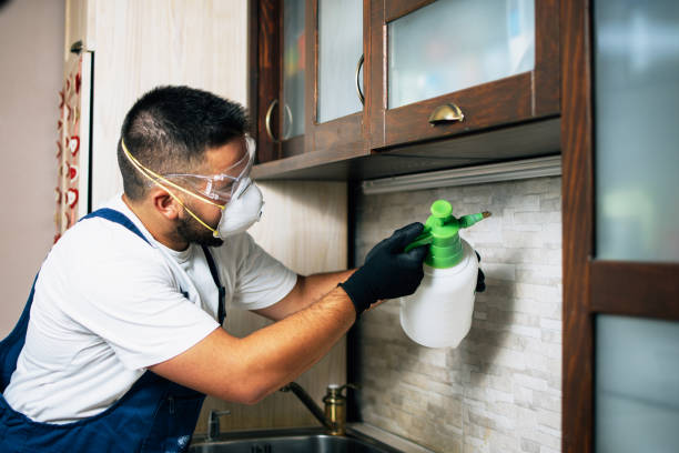 Wildlife Control Services in Garland, UT