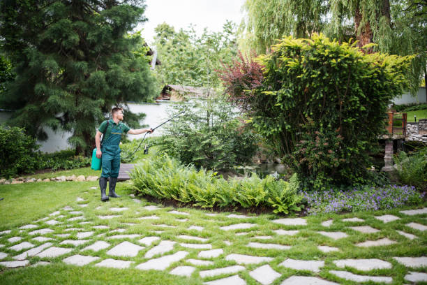 Best Pest Control Near Me  in Garland, UT
