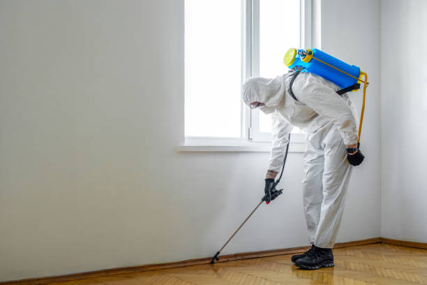 Best Best Pest Control Companies  in Garland, UT