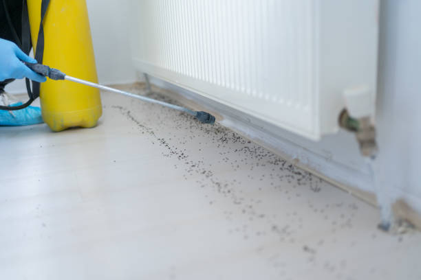 Best Pest Inspection Near Me  in Garland, UT