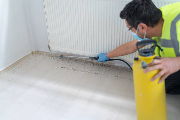 Best Best Pest Control Near Me  in Garland, UT