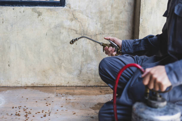 Best Pest Control Near Me in Garland, UT