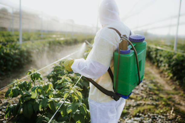 Best Pest Removal Services  in Garland, UT